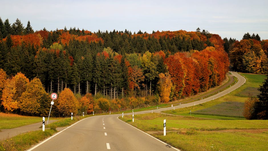 藍十字旅遊保險的深度分析與指導