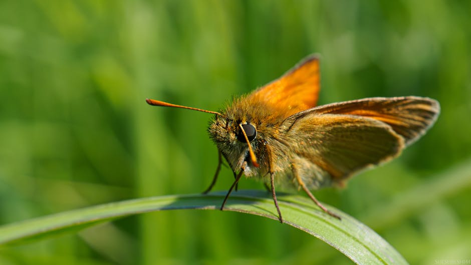 網店收款方法全攻略：從新手到高手的實戰分享
