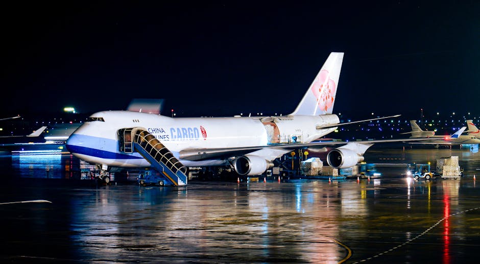 國際救援：跨越邊界的守護力量